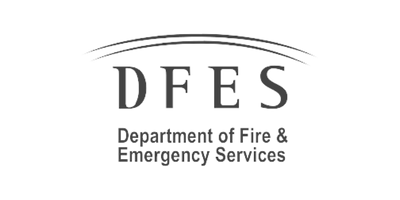 DFES Logo